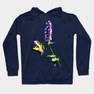 Buttreflies - Tiger Swallowtail on Purple Salvia Hoodie